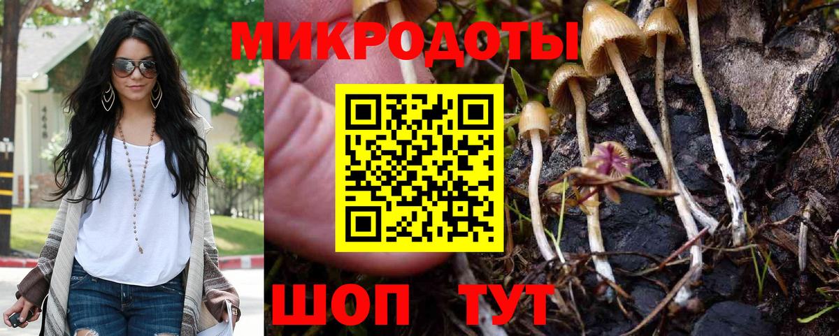 Людиново  Галлюциногенные грибы ЛСД  Галлюциногенные грибы мицелий  Вход с VPN 