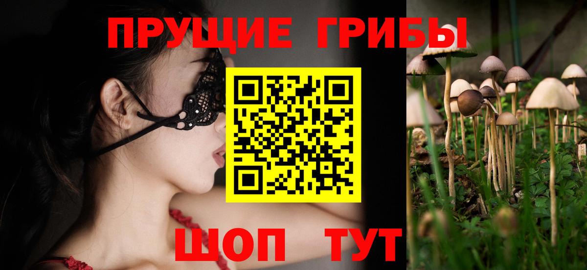 Псилоцибиновые грибы мицелий Людиново